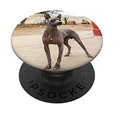 Amoureux des chiens péruviens sans poils PopSockets PopGrip Interchangeable