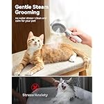 Cat Steam Brush, Brushes for Indoor Cats with Release Button, Dual Speed Spray USB Rechargeable Grooming Supplies, Cat Brush for Shedding Suitable for All Long-haired and Short-haired Pets - Image 2