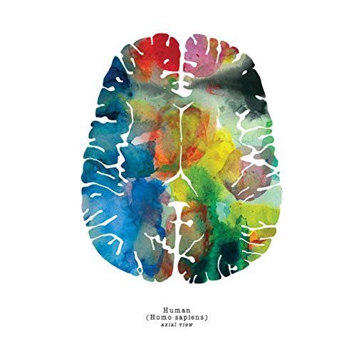 Modern Psychology Wall Art - The Human Brain Anatomy - Inspirational Mental Health Gift + Medical Student Gift - Neuroscience Wall Art - 12" X 12" Brain Art Print Set Of 3 - Colorful Neuroscience, Neurology, And Psychology Artwork - Psychology Professor Gift Idea - Psychiatric Nurse Gift Idea #TOP3