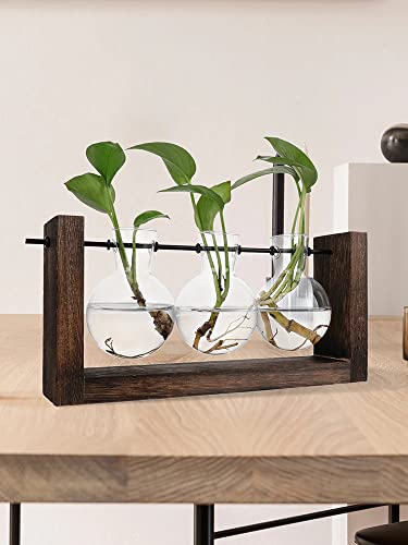 Vaso Decorativo Hidropônico De Vidro Terrário Planta 13x25cm