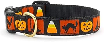 Up Country Halloween Dog Collar Medium (12 to 18 Inches) 5/8 Inch Narrow Width
