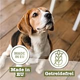 Chewies Hundezigarre Hirsch - Protein Kaustangen für Ihren Hund getreidefrei & zuckerfreie Hunde-Leckerli auch für Welpen & Senior Hunde geeignet, 10er Pack (je 75g)