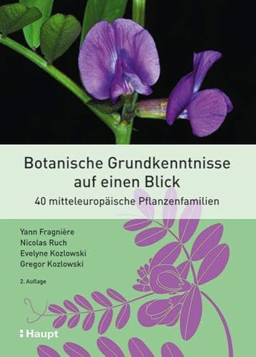 Botanische Grundkenntnisse auf einen Blick: 40 mitteleuropäische Pflanzenfamilien