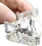 Ce modèle de crâne de chat est utilisé dans les cliniques et cabinets vétérinaires pour expliquer la structure du crâne ou des dents du chat aux propriétaires de patients, ainsi que pour clarifier les problèmes actuels et les traitements possibles.