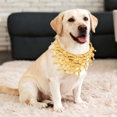 Disfraz de bailarina de vientre para perro mediano y grande miniatura 3