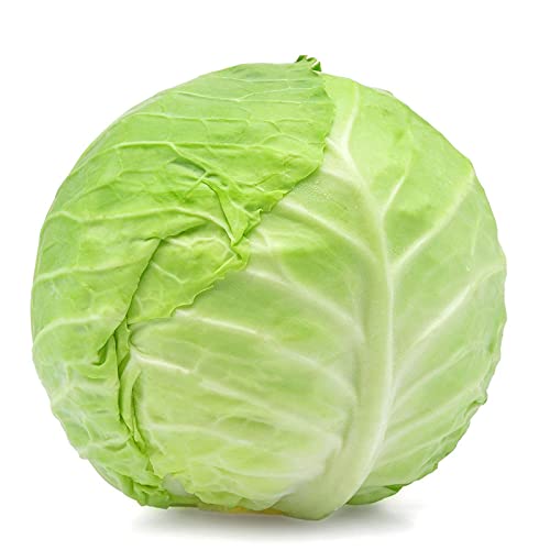 Fresh And Organic Cabbage Vegetable Hybrid Seeds 1-Packet