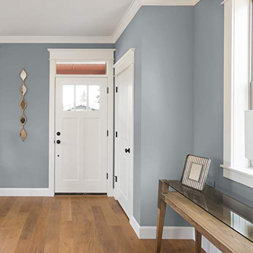 Montage Signature Interior/Exterior Eco-Friendly Paint, Twilight, Low Sheen, 5 Gallon #TOP3