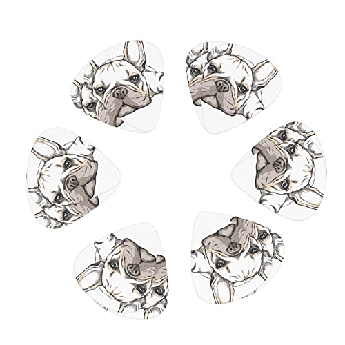 M^[sbN 12 3ނ̌ M^[sbNZbg sbNP[X [{bNXt AR[XeCNM^[ GLM^[ EN }h x[X oW[p Sҗp guitar picki0.46mm0.71mm&0.96mmj t