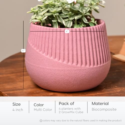 Image of Eha Earth Friendly Oreo 4 inch Small pots for Indoor Plants with 2 Growmix| Pack of 4| Made with Bamboo Fibers|Table Top Planters for Home Decor and Office, Flower Pot for Living Room|Multicolor