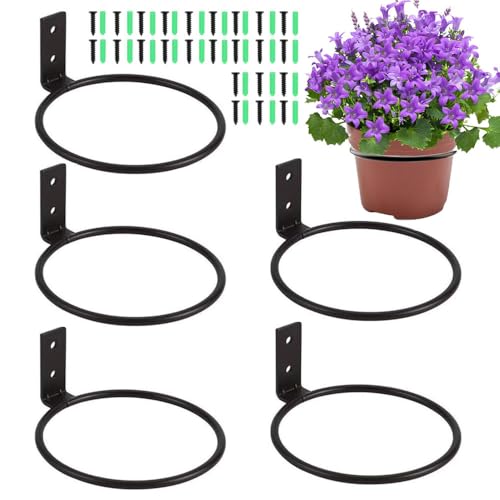 Esforzarse 6 Pezzi Staffa Anello Vaso di Fiori, Diametro Interno 10 cm, Supporto Da Parete Per Piante, Rotondo, Da Appendere Alla Parete, Per Casa, Ristorante, Balcone, Giardino(Colore Nero)