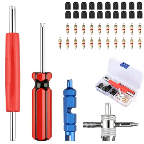 44 Pcs Demonte Obus Valve et Valve Pneu Voiture Kit, Outil de Reparation Pneu Voiture pour Auto Moto Velo Demonte Pneu Voiture avec Valve Tubeless Compatible...