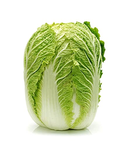 Golden Hills Farm Chinese Cabbage Fresh Organic Vegetable 500-522 seeds (B09L1G9DVR) Amazon Price History, Amazon Price Tracker