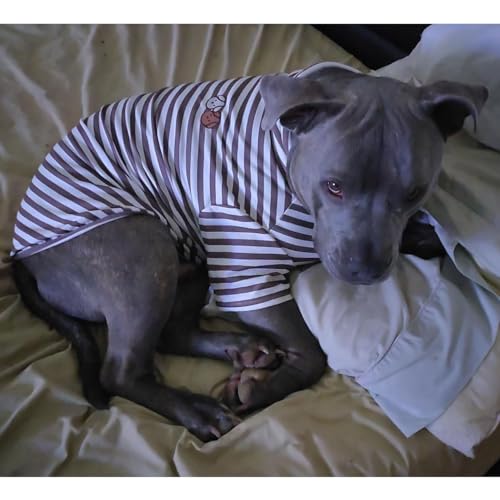 T-shirt rayé confortable et extensible pour costumes d'animaux