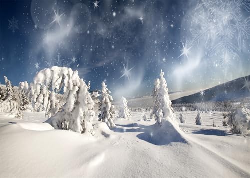 Décor de fond paysage hiver pour portrait photo de famille et enfant