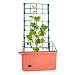 Produktbild Waldbeck Power Planter - Pflanzkübel auf Rollen, Pflanzkasten, Pflanzkiste, 75x130x35 cm, 3-etagige Rankhilfe, Bewässerungssystem, Wasserreservoir, Polypropylen, einfacher Zusammenbau, terrakotta