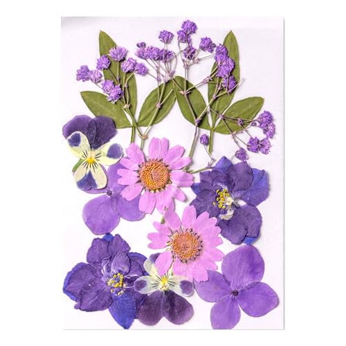 12 ԃA[gNtgpi肵WG[XNbvubLO