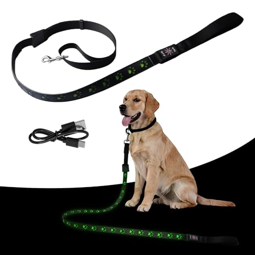 Guinzaglio per cani a LED da 1,2 m, ricaricabile, ricaricabile, con USB, per cani di taglia grande, media e piccola, colore verde