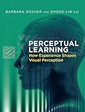 Perceptual Learning: How Experience Shapes Visual Perception