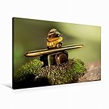 tigerauge armband männer Durch hochauflösendem HD Druck besonders geeignet um die Wände in Wohnzimmer, Schlafzimmer, Küche, Arbeitszimmer oder Kinderzimmer sowie Hotelzimmer, Büro- oder Praxisräume in ein persönliches Wohlfühlambiente zu verwandeln