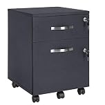 VASAGLE Lockable File Cabinet, Filing Pedestal with 2 Drawers, 5 Wheels, and Adjustable Hanging Rails, Textured Surface, for A4 and Letter Sized Papers, Home Office, Black LCD22BV1