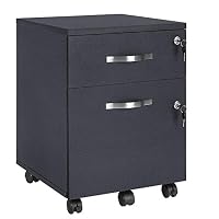 VASAGLE Lockable File Cabinet, Filing Pedestal with 2 Drawers&5 Wheels, and Adjustable Hanging Rails, for Letter Sized Folders, Home Office, Black CUSTOS Collection LCD022T16V1