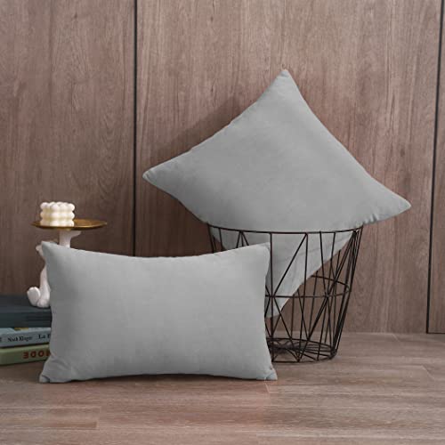Iofryion Throw Pillow Covers 16X16 Inch Decorative Velvet Soft Pillow Case, Zipper Square Solid Throw Pillow Set Of 2 Pack For Sofa Couch Bed Chair Rectangle #TOP4