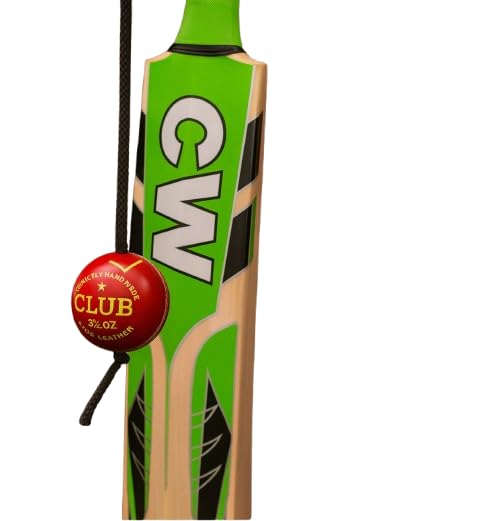 CW League 20-20 Cricket Bat with Hanging Leather Ball | Kashmir Willow Bat | Junior Size 3 - Full Size Bat (Size 3 for 5-7 YR)-image-31