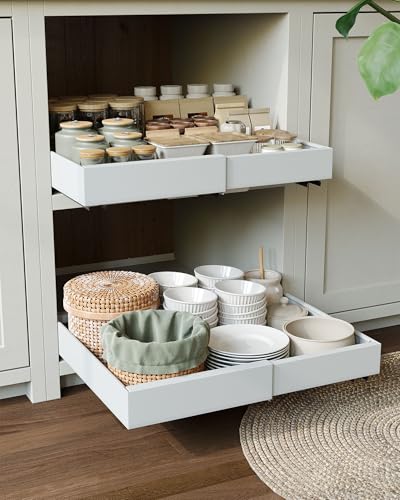 NETEL 2 cassetti telescopici, cassetti estraibili, da cucina, larghezza regolabile 32 – 52 cm, profondità 42 cm, con colla, non necessita di foratura, per la cucina, organizer da cucina, colore bianco