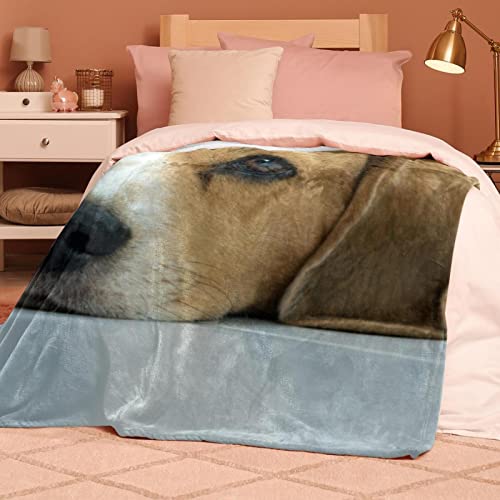 Couverture en peluche Beagle microfibre haut de gamme - 8