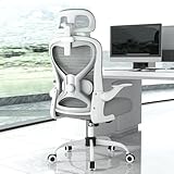 Ergonomic Office Chair for Back & Neck Pain Relief, Virgin Foam Seat, 2D Adjustable Lumbar & 3D Headrest, Tilt & Rock for Relaxation, Ideal for Long Sitting Comfort, Gray/Silver