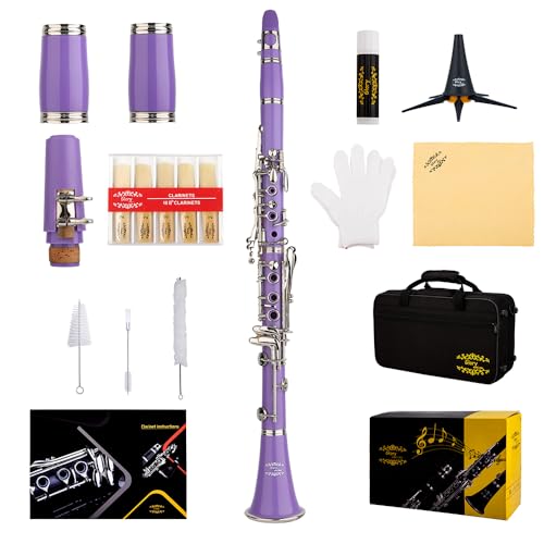 Image of Glory GLY-CLAPUR Professional Ebonite Bb Clarinet with 10 Reeds, Stand, Hard Case, Cleaning Cloth, Mouthpiece Brush and Pad Brush,Purple /Silver