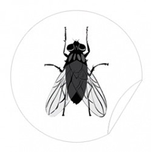 WC Aufkleber Fliege, Toilettensticker Pissior Tattoo Badausstattung 4er Set- LK-Trend & Style