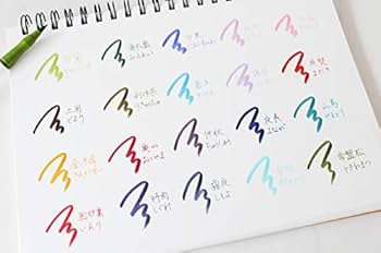 Amazon.com : セーラー万年筆 Sailor 25-5101-001 Fountain Pen