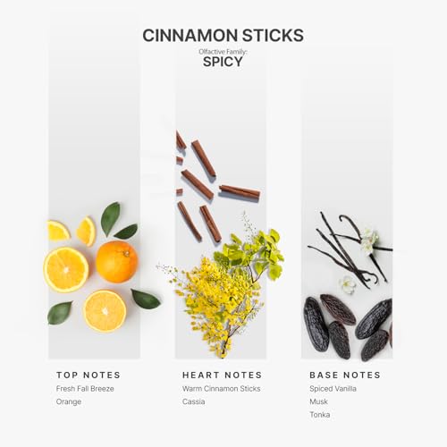 Aromaplan-Hotel-Scents-Cinnamon-Sticks-5-Fl-Oz-148ml-Home-Luxury-Aroma-Hotel-Fragrance-Diffuser-Oil-Hotel-Diffuser-Oil-for-Aromatherapy-USA-Made-Bigger-Bottle-Bolder-Aroma-Longer-Lasting Aromaplan Hotel Scents Cinnamon Sticks 5 Fl Oz 148ml Home Luxury Aroma Hotel Fragrance Diffuser Oil Hotel Diffuser Oil for Aromatherapy USA Made Bigger Bottle Bolder Aroma Longer Lasting