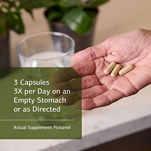 Standard Process Gastro-Fiber - Whole Food Digestion And Digestive Health, Indigestion, And Cramps With Collinsonia Root, Apple Pectin, And Fennel Seed - 150 Capsules #TOP2