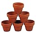 10 - 3" x 2 1/2" Clay Pots - Great for Plants and Crafts