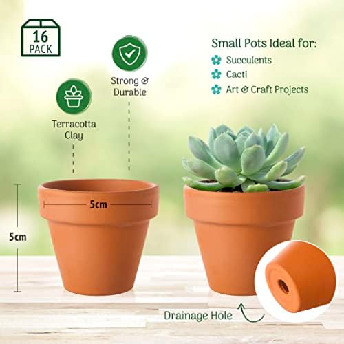 Green Thumbz Mini Terracotta Plant Pots (5cm) Small Plant and Flower Pots Pottery Plant Pots and Herb Planter for Herbs, Seeds, Plants and Flowers (16 pack)