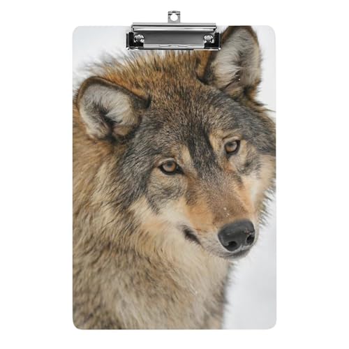 Porte-bloc en acrylique rigide A4 motif loup marron anti-déparant pour école
