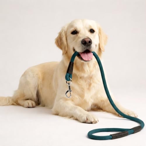 Image of Dog Leash for Large Dogs & Medium Dogs 5 Feet - Heavy Duty Nylon Rope 15mm Thick Leash with Anti Slip Rubber Handle - Tangle Free & Swivel Metal Clip (Green)