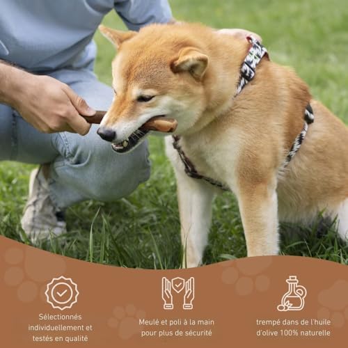 Wildfang® Jouet à Mâcher en Bois d'olive pour Chien, Jouet de Dentition pour Chiot, Bâton à Mâcher Naturel, Os en Bois pour Chien – M – Image 6