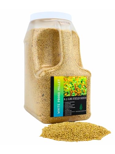Evergreen Farm and Garden White Proso Millet Field & Bird Seed (8.5 Lbs)