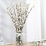 Natural Preserved Dried PussyWillow Branches for Vases, 15 Stems Real Willows, 17