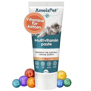 Vitaminpaste Für Katzen, Katzenpasten mit Vitamine – Multivitamin Paste Für Katzen Katzensnack mit Taurin, 100g (3.52 Oz)