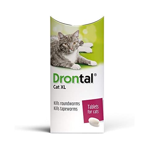 Bayer Drontal XL Wormer for Cats Over 6 Kgs Cover