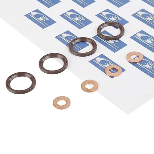 3RG 81907 - Kit de joints, injecteur