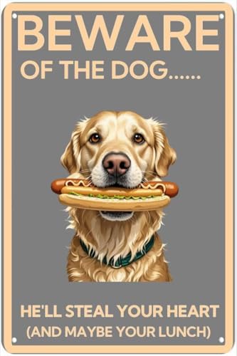 Anceky Cartello vintage Attenti al cane, ti ruberà il cuore in latta con scritta Golden Retriever, decorazione da parete retrò per casa, ufficio, bar, cucina, garage, 8x12 pollici.