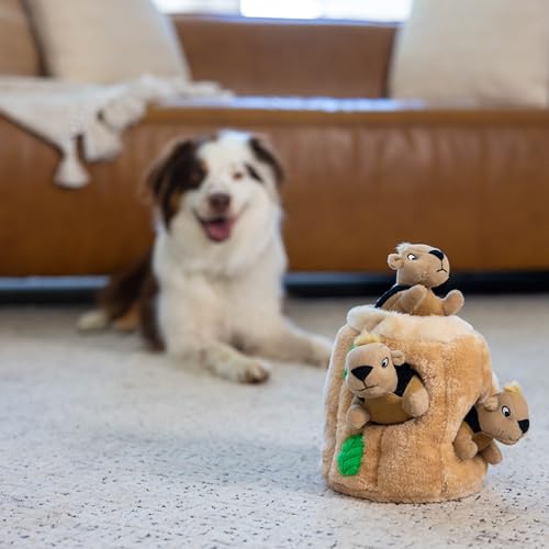 Image of Outward Hound Hide-A-Squirrel Plush Squeaky Dog Toy, Medium, 6.5 inch x 6.5 inch