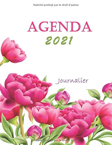 Télécharger Agenda 2021 Journalier: 2021 Calendrier Mensuel: Agenda de pratique 2021: 53 semaines pour développ PDF