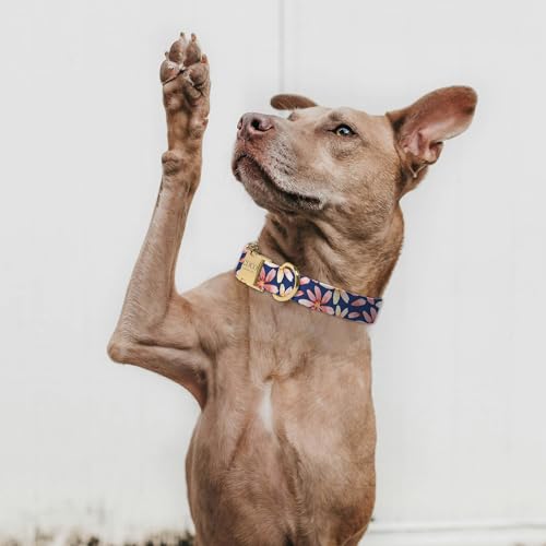 Generic Personalized Floral Dog Collar For Small thumb #5