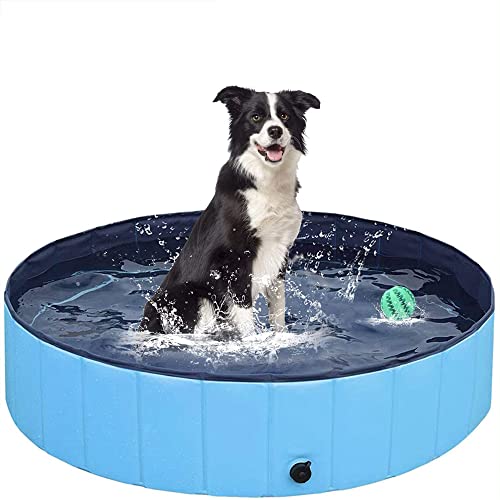Plastic Paddling Pool Dog Pool Pet Swimming Pool For Small Dogs Hard Bath Pool Foldable Outdoor Bathing Tub Hard Kiddie Pool For Dogs Cats (32''X8'', Blue) #TOP2